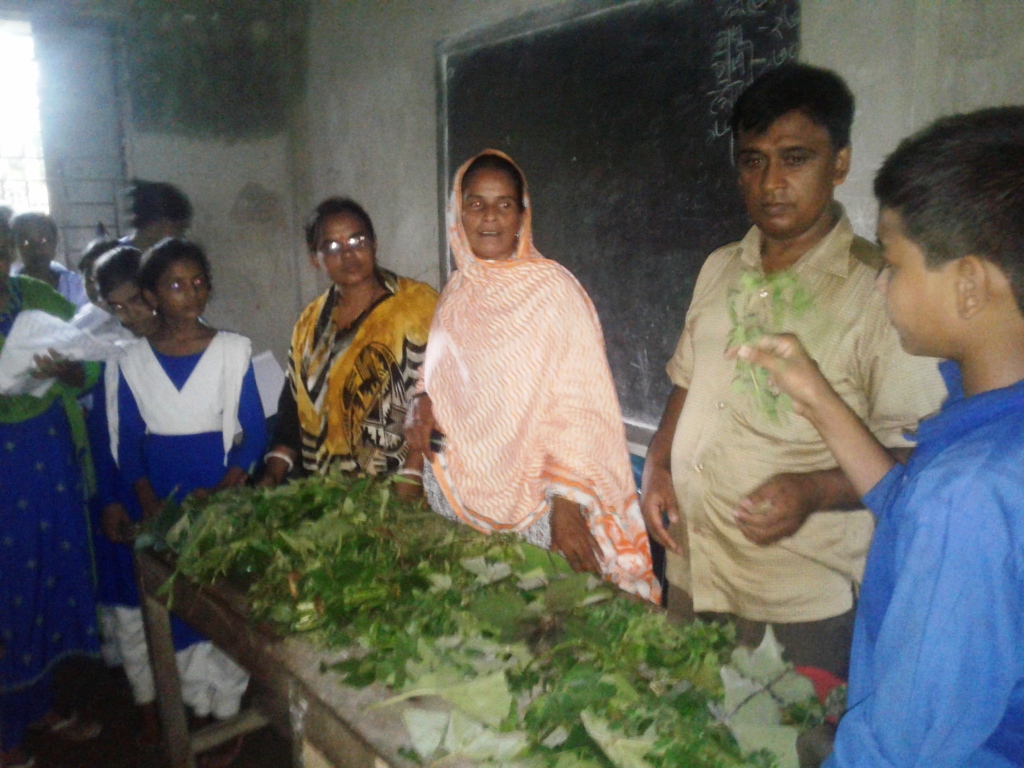 অচাষকৃত খাদ্যের শিক্ষক প্রবীণ রোকেয়া আক্তার