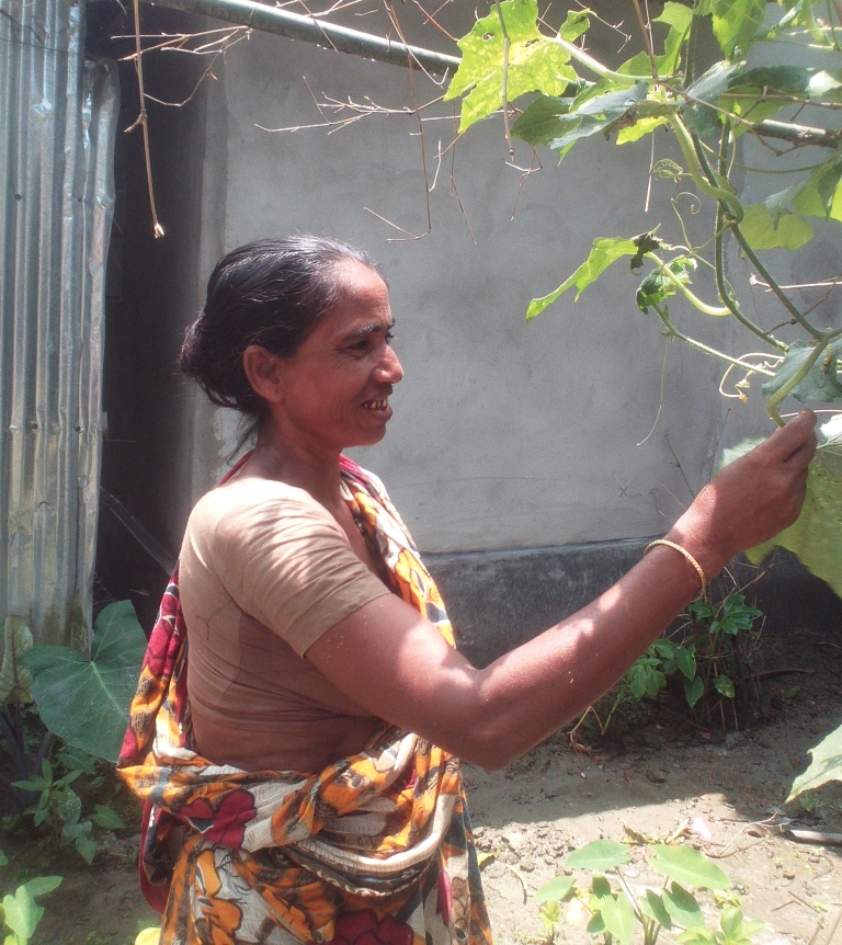 নিজে চাষ করি, তৃপ্তিতে খাই