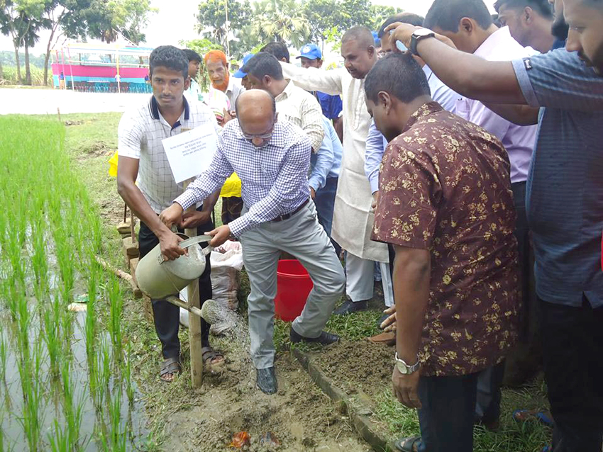 বজ্রপাত প্রতিরোধে জেলা প্রশাসকের তালগাছ রোপণ