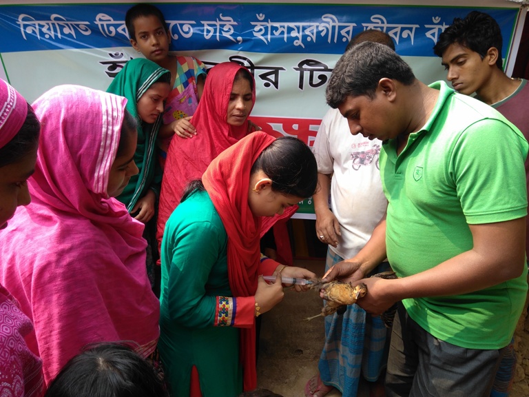 গৃহপালিত পশু পাখি অসময়ের বন্ধু