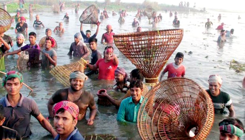 মানিকগঞ্জে ঐতিহ্যবাহী মাছ ধরা উৎসব