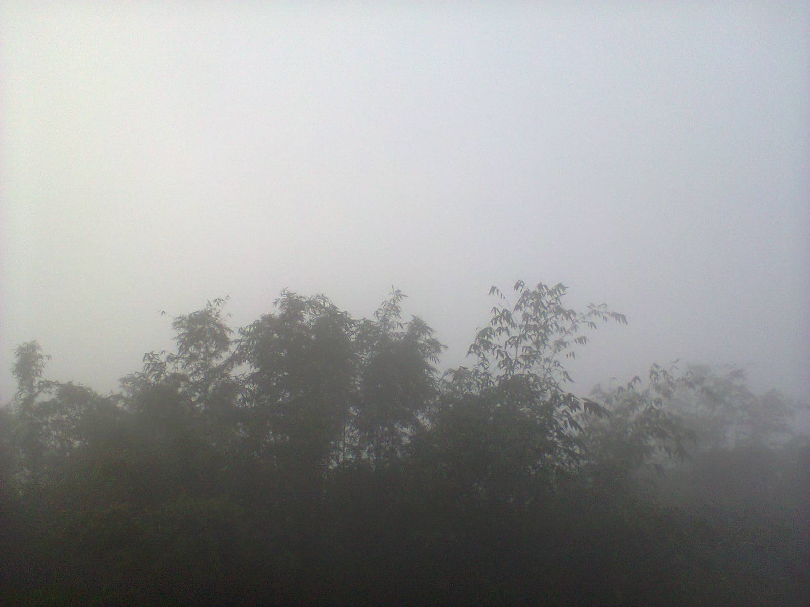 এখন মৃদু কুয়াশা; বাতাসে শীতের হিম হিম স্পর্শ