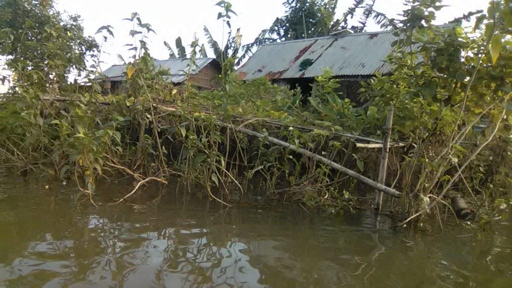 জলাবদ্ধ জমি ব্যবহারে কৃষকের বৈচিত্র্যময় উদ্যোগ