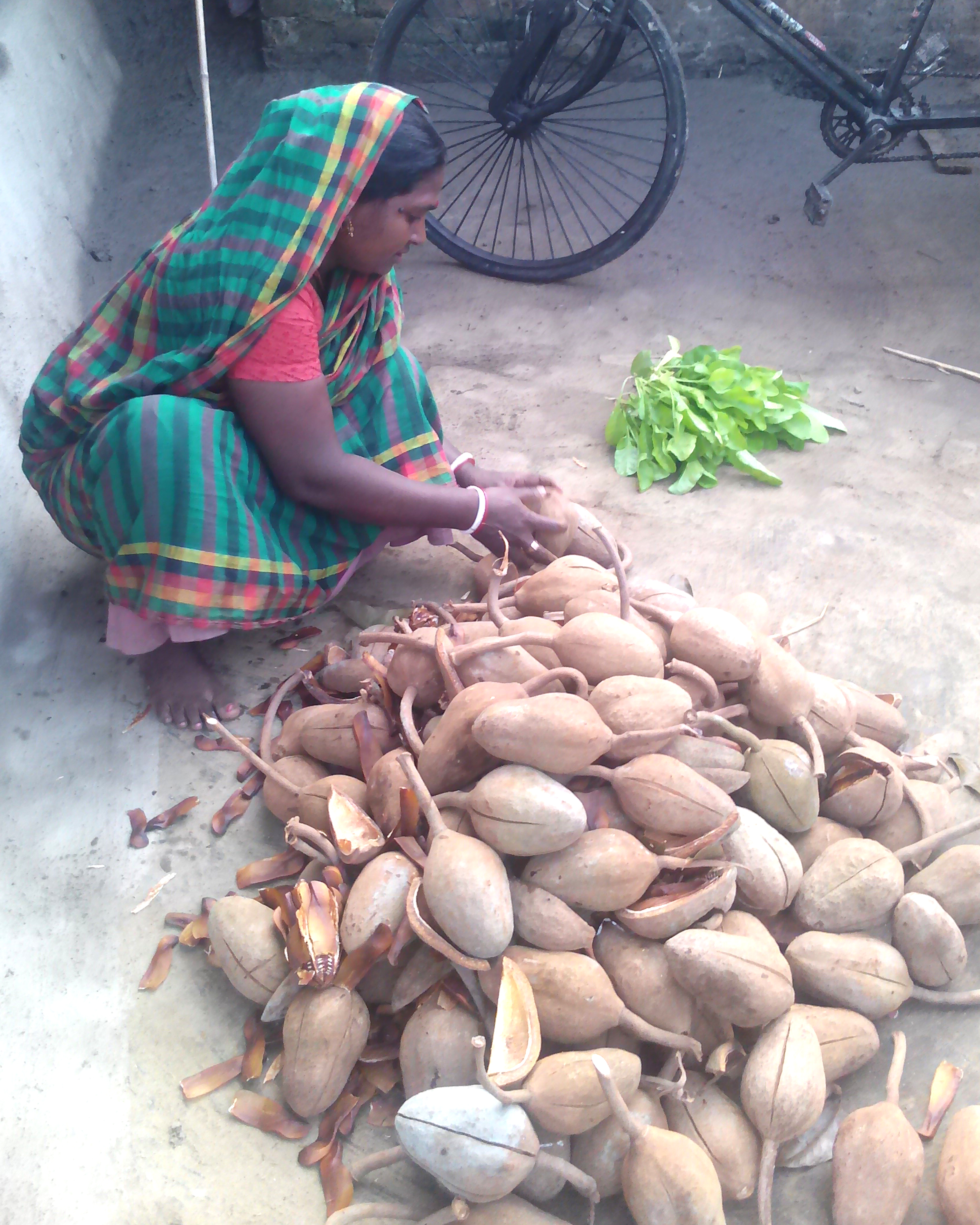 ফসল উৎপাদনে জৈব বালাইনাশক ব্যবহার করি