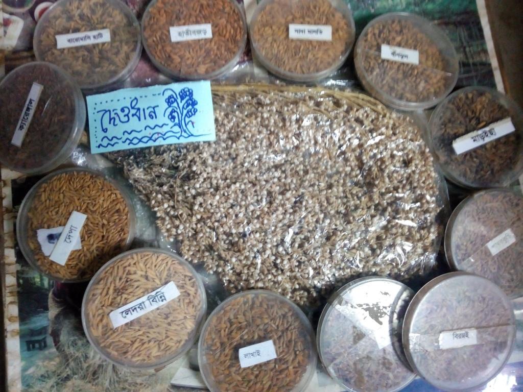 সবার নজর কেড়েছে দেওধান