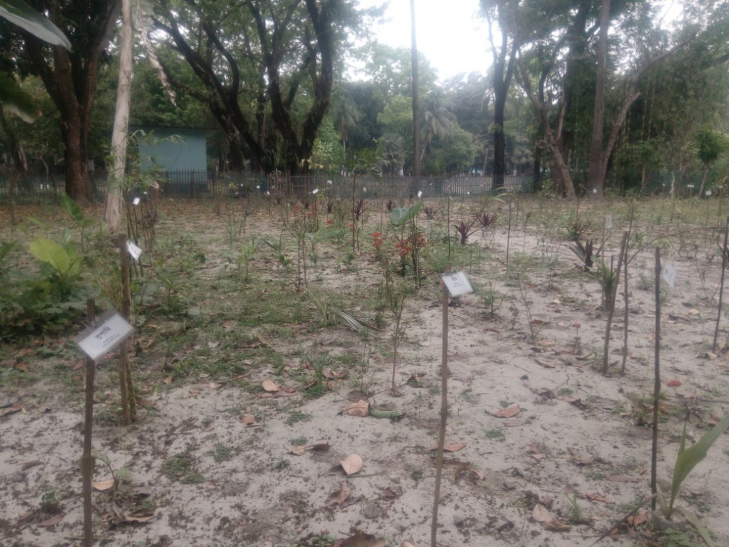 Medicinal Tree Park (3)