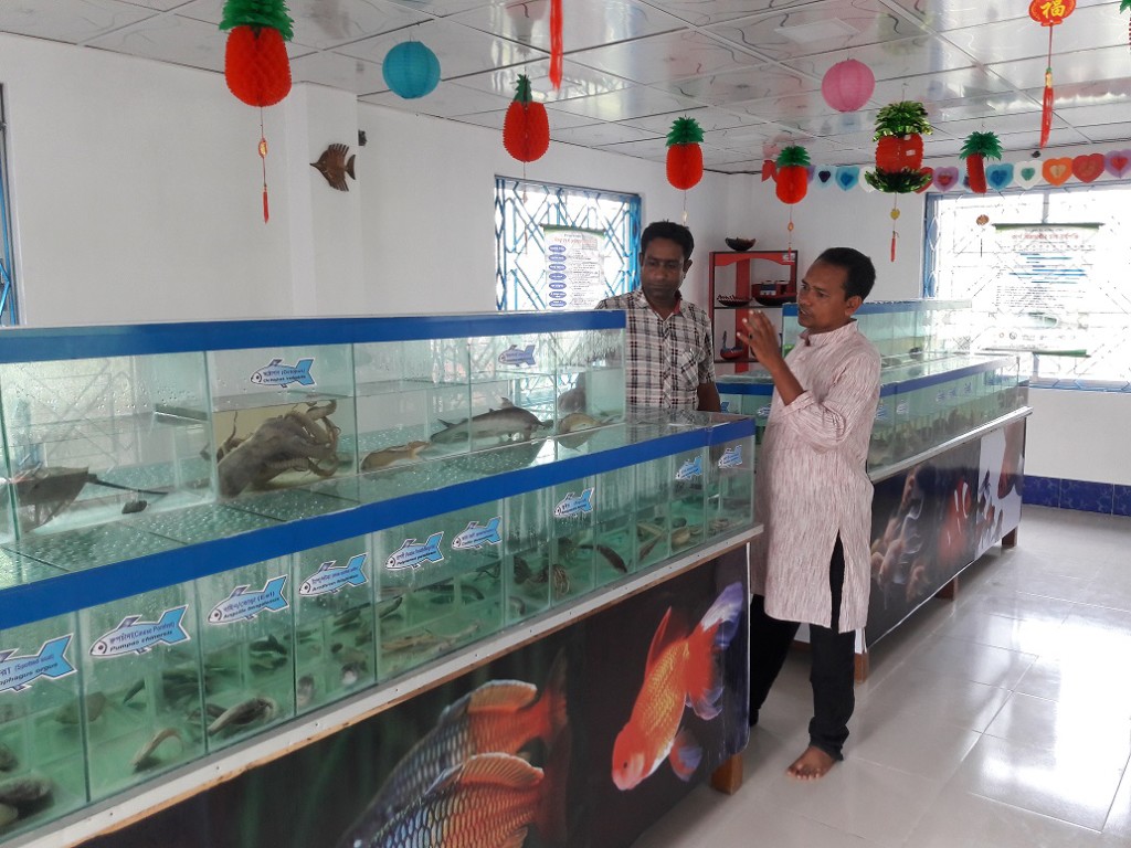 Satkhira abdus Samad fish Museum (8)