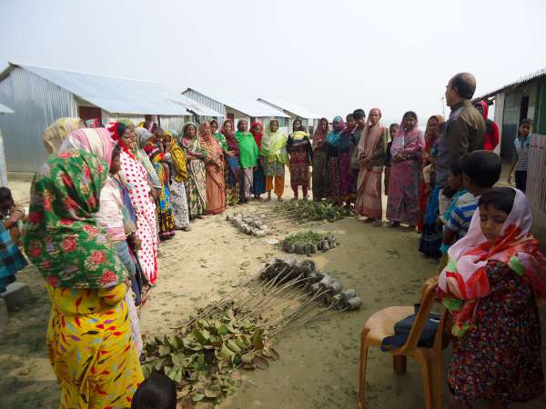 গুচ্ছ গ্রামবাসীদের মধ্যে ফলজ গাছের চারা বিতরণ