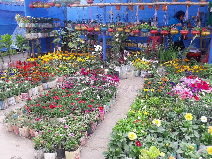 ভালোলাগা ও ভালোবাসার পুষ্প মেলা
