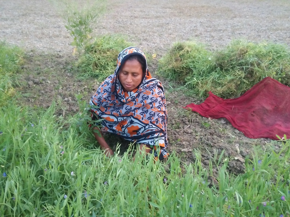 হতাশা কাটিয়ে আলোর পথে শাহিদা