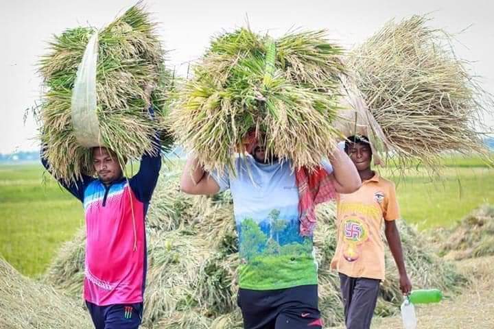 কৃষক ও করোনা, নাকি করুণায় কৃষক