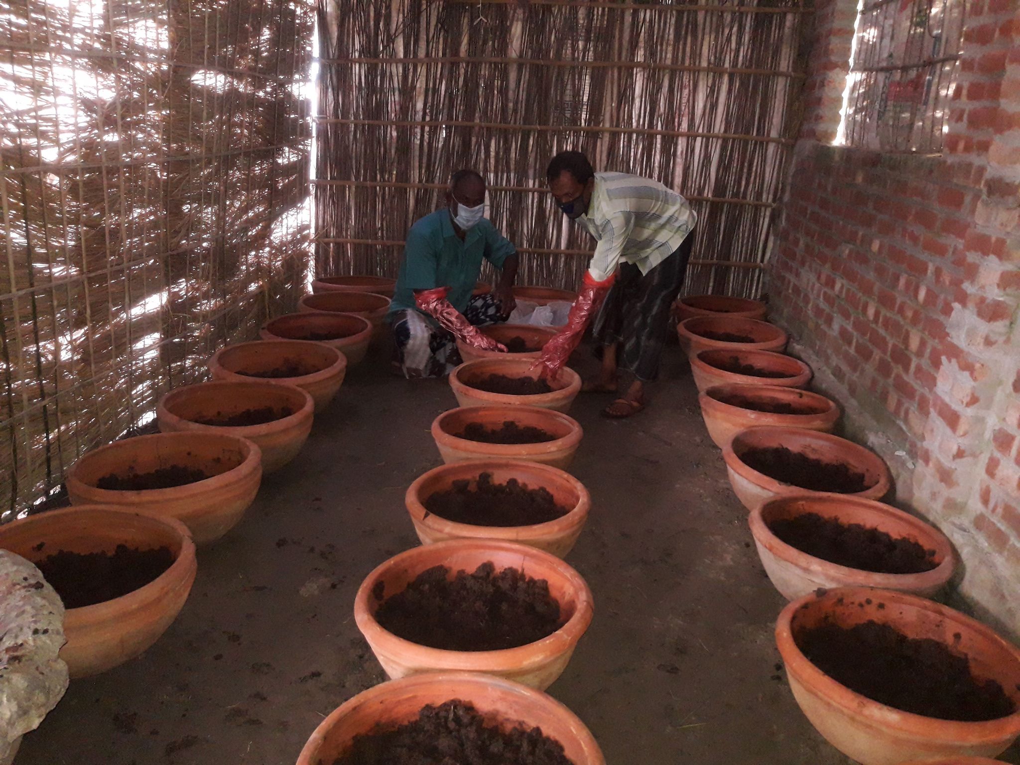 সম্প্রসারিত হচ্ছে ভার্মি কম্পোস্ট উৎপাদন