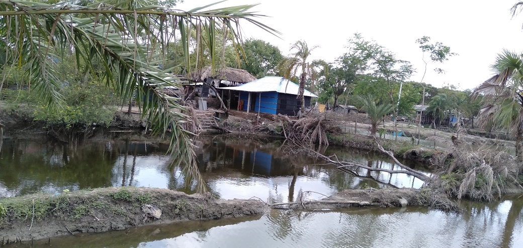 কেমন আছেন খেজুর আটি গ্রামের জনগোষ্ঠী?