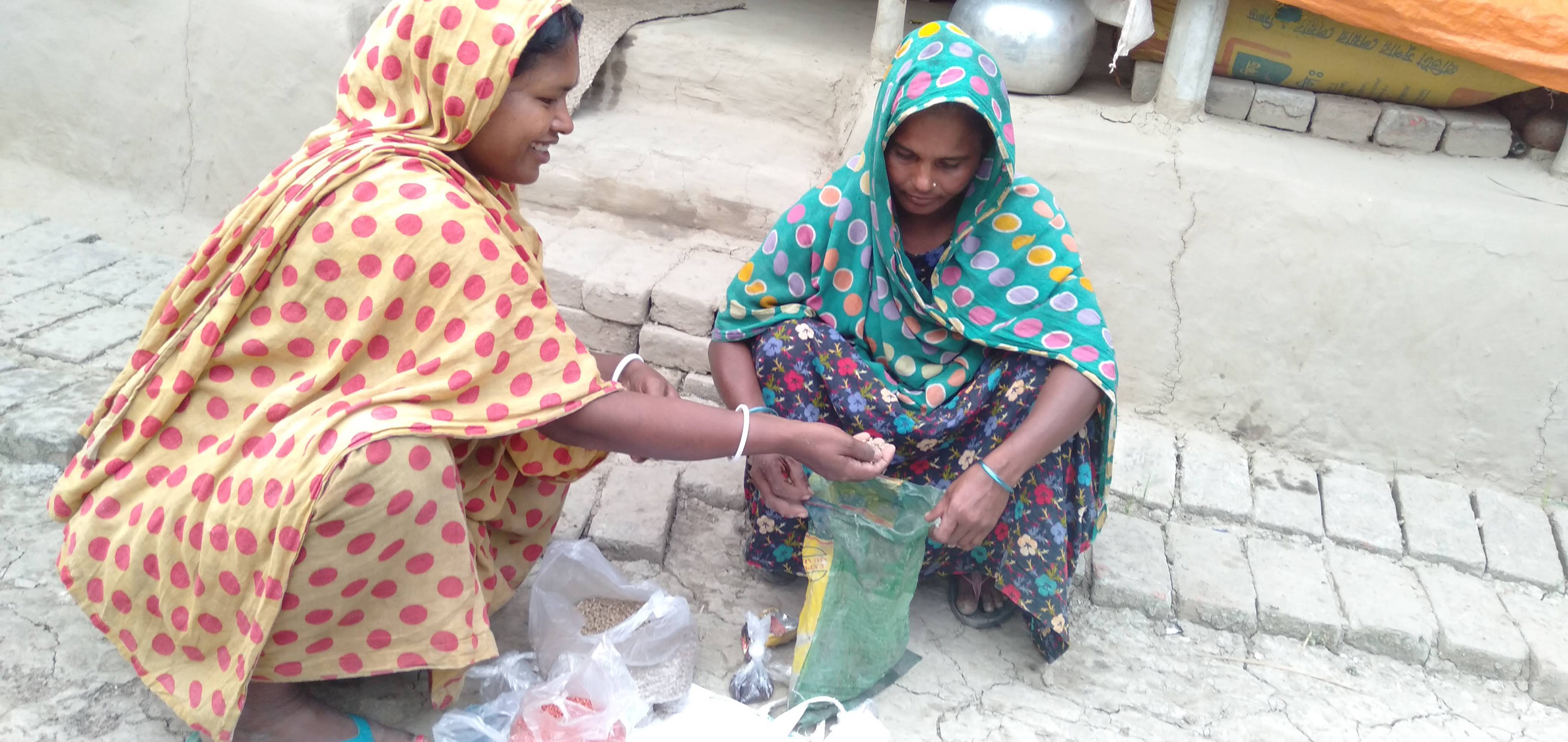 বীজ পেয়ে আমাদের বড় উপকার হলো