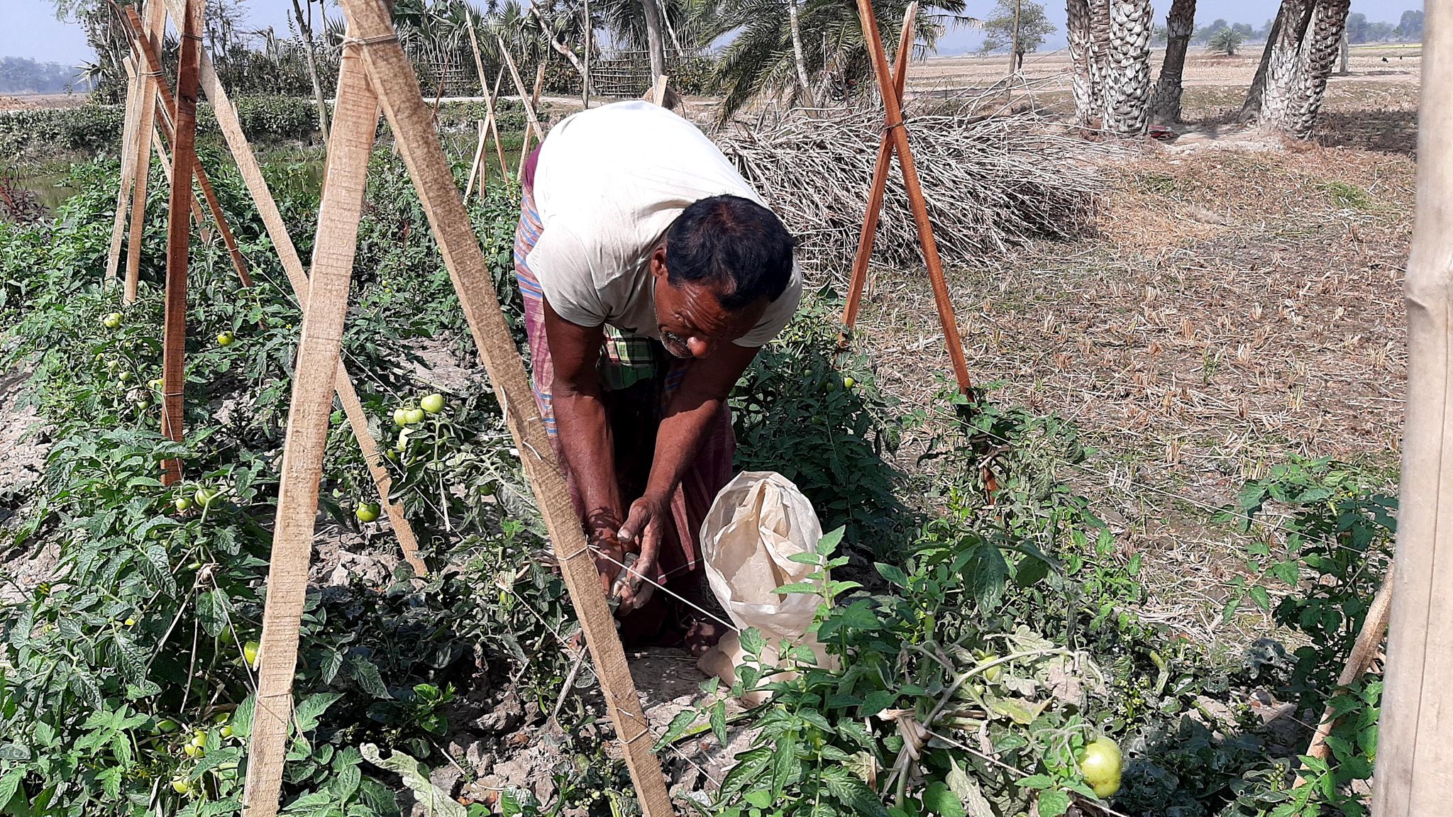 খাদ্য চাহিদা পূরণে কৃষিকাজের বিকল্প নেই