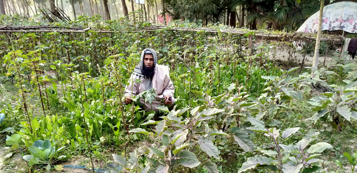 বৈচিত্র্যময় ফসল চাষ নিরাপদ খাদ্য যোগান দেবে