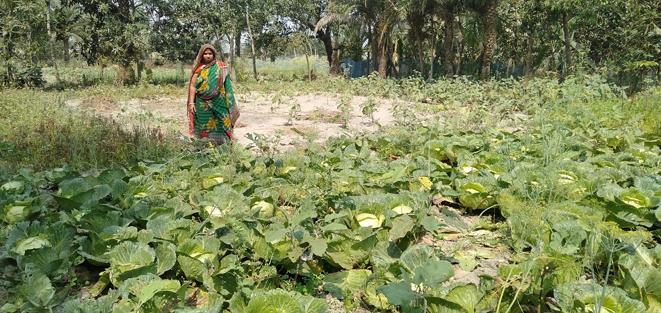 সবজির বাজারমূল্য ভালো না থাকায় অন্য পেশায় ঝুঁকতে হচ্ছে