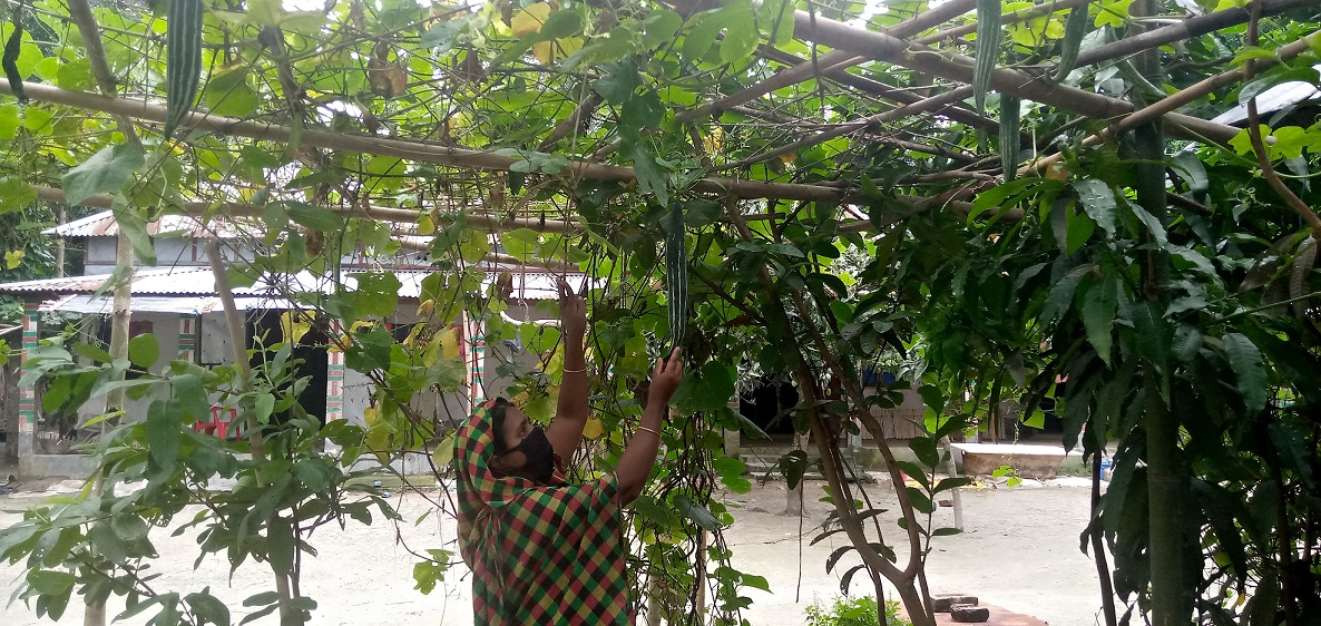 ‘মাডি (মাটি) কোনো সময় বেঈমানি করেনা’
