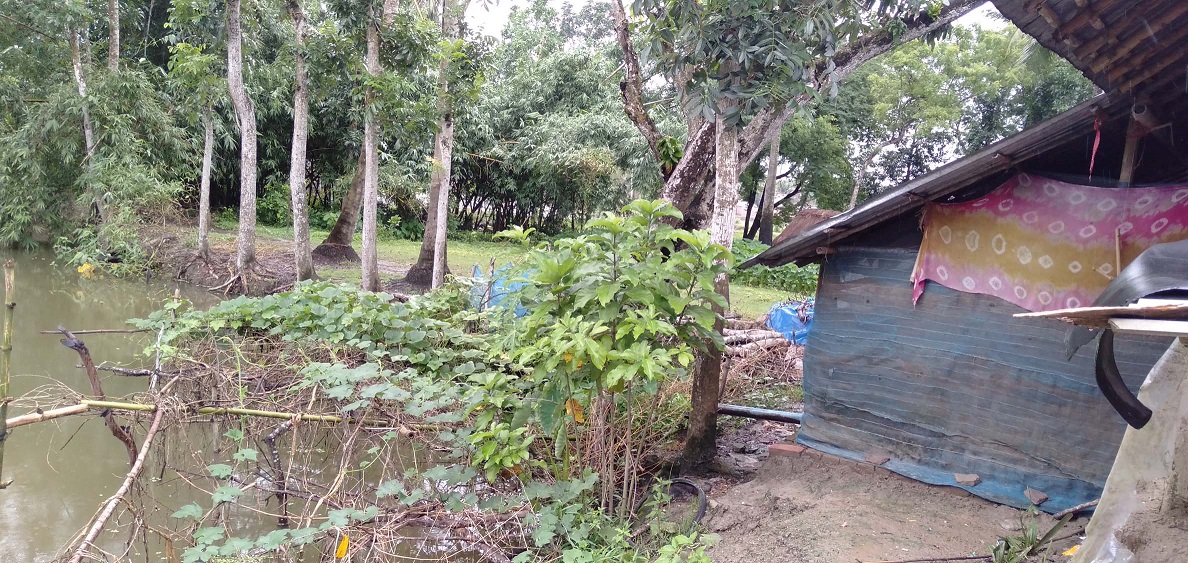 এখন অনেকেই আসে আমার বাড়িতে