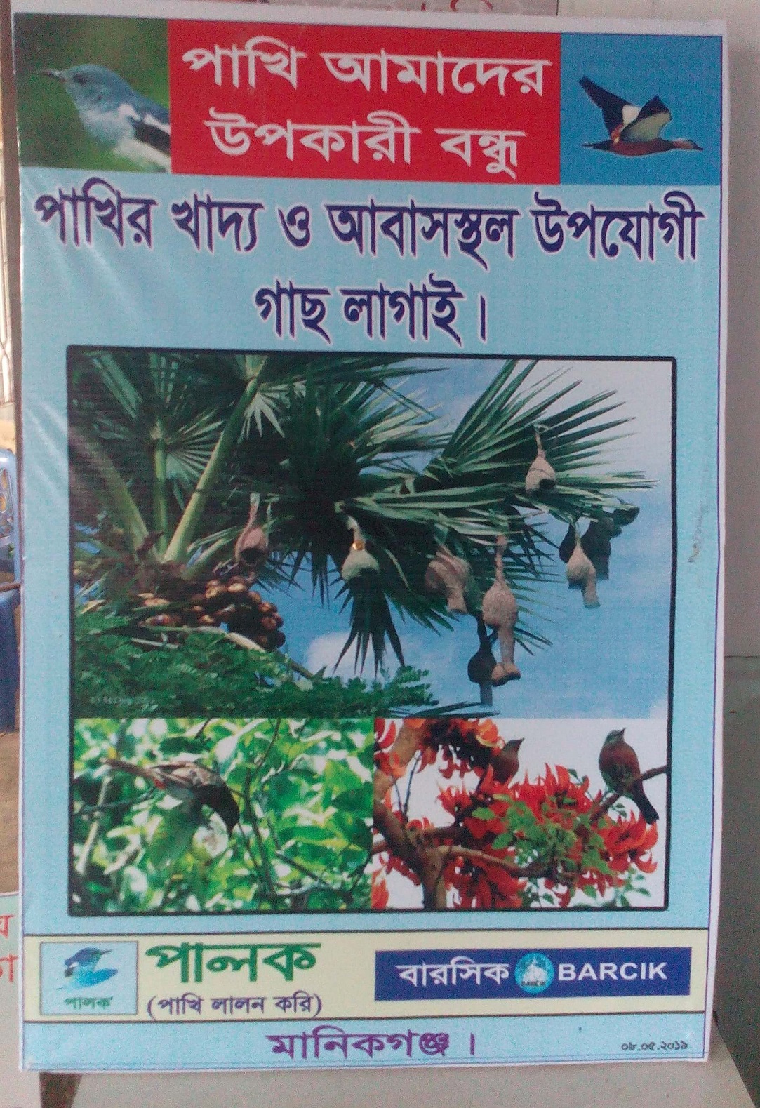 আসুন আমরা পাখিসহ প্রাণীদের ভালোবাসি, তাদের সুরক্ষা করি