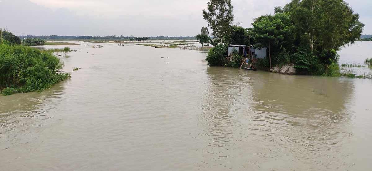 প্রাণ ফিরে পেয়েছে ধলেশ্বরী নদী