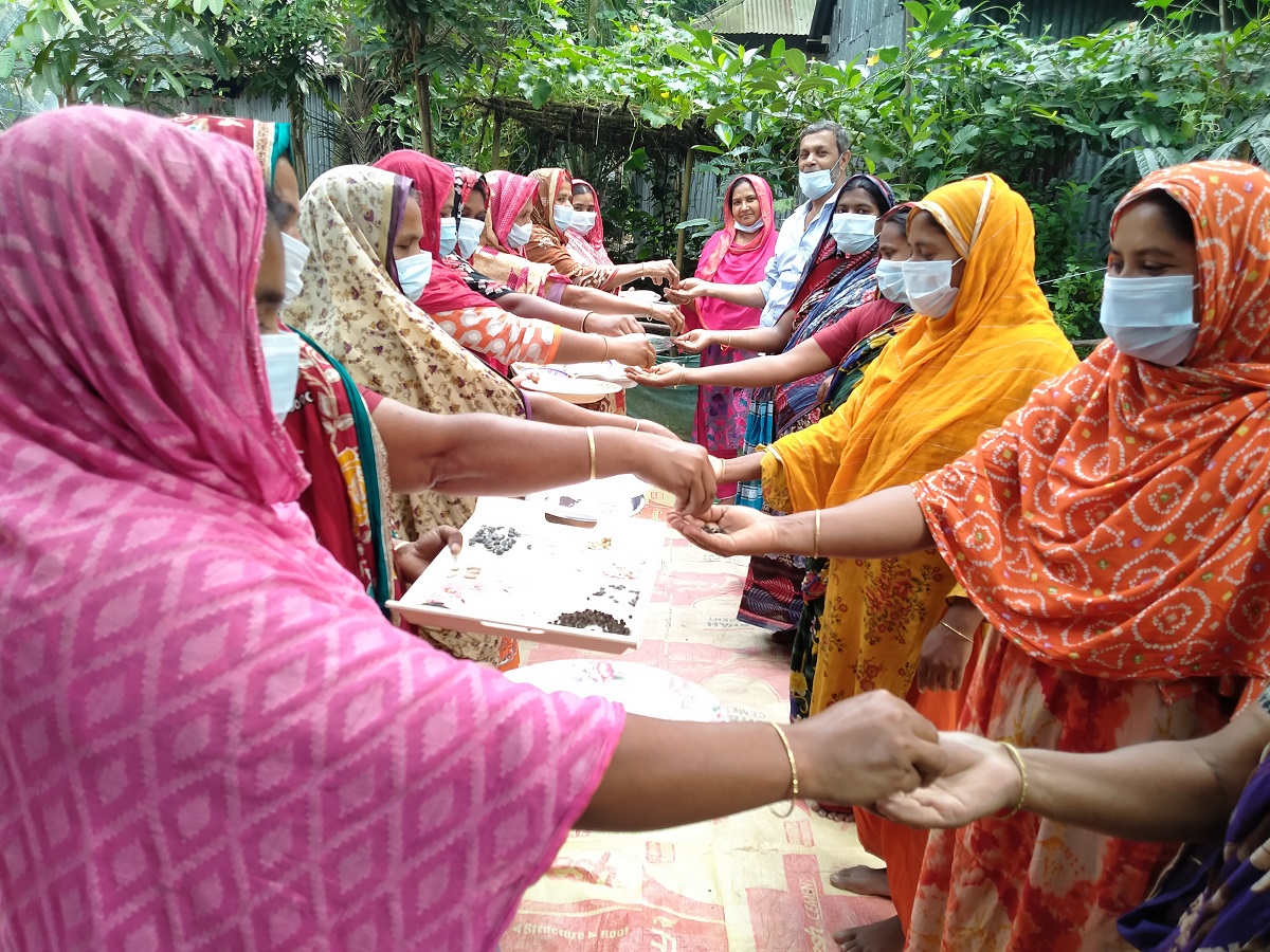 বাড়িতে বীজ সংরক্ষণ করলে বীজের গুনাগুণ জানা যায়