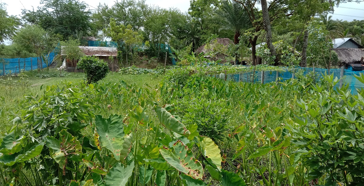 শতবাড়ি প্রতিবেশিদের সাথে আন্তঃসম্পর্ক তৈরিতে ভূমিকা রাখে