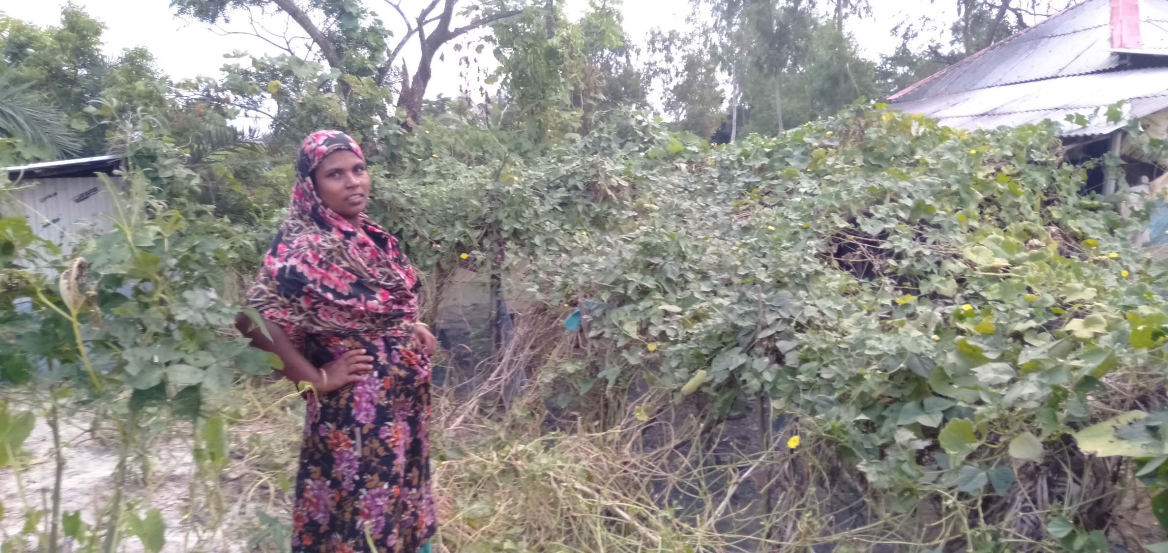 আমরা সারাবছর আবাদ করতে চাই