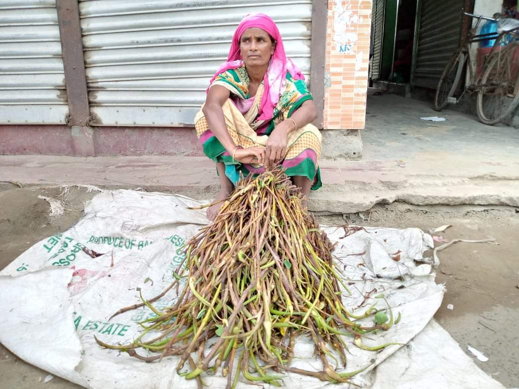 প্রান্তিক মানুষের জীবিকায়নে সহায়তা করে অচাষকৃত উদ্ভিদ
