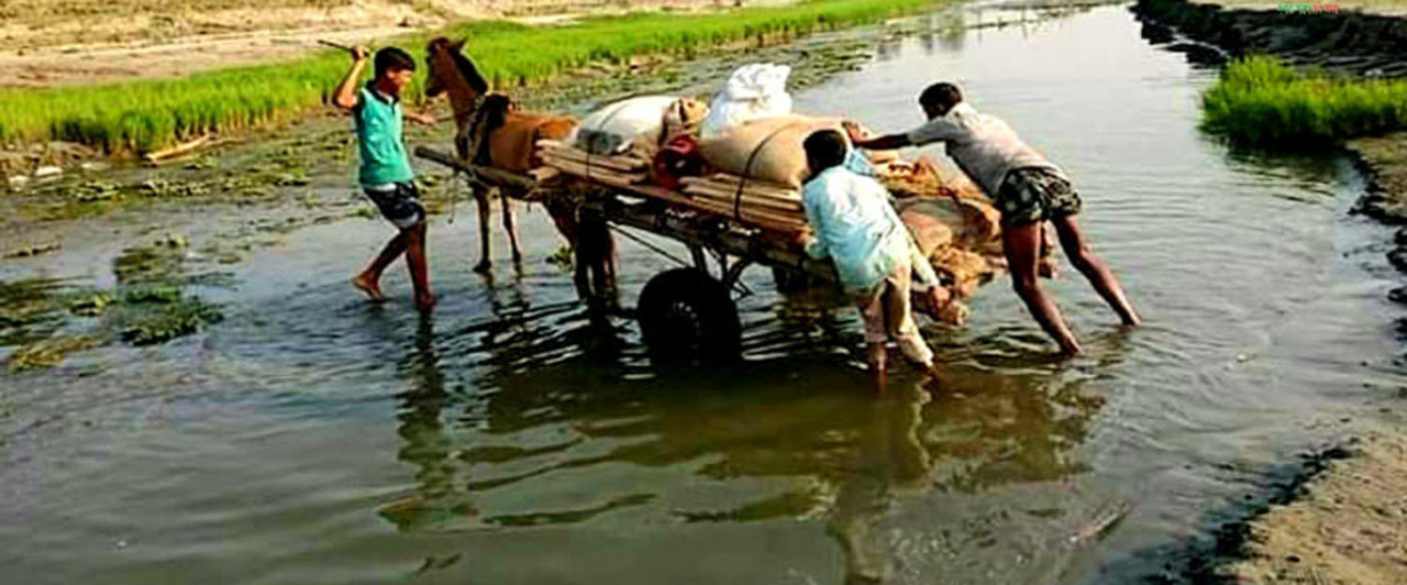 এদেরও মানুষের মত প্রাণ আছে