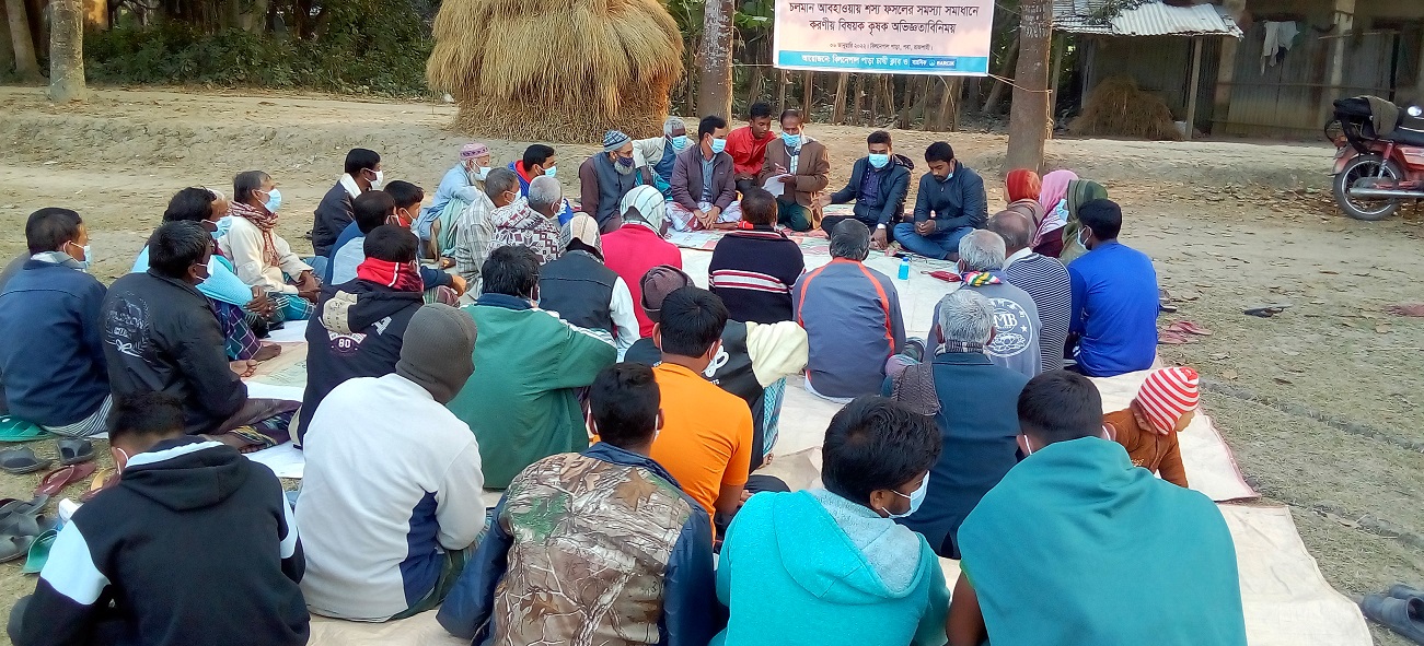রাজশাহীতে রবিশস্য চাষ বিষয়ক কৃষক অভিজ্ঞতা বিনিময় সভা অনুষ্ঠিত