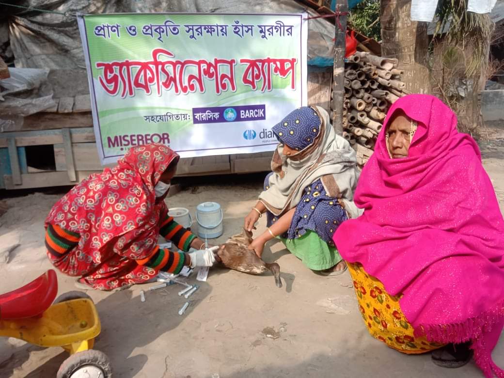 সাতক্ষীরায় হাঁস ও মুরগির ভ্যাকসিনেশন ক্যাম্প অনুষ্ঠিত