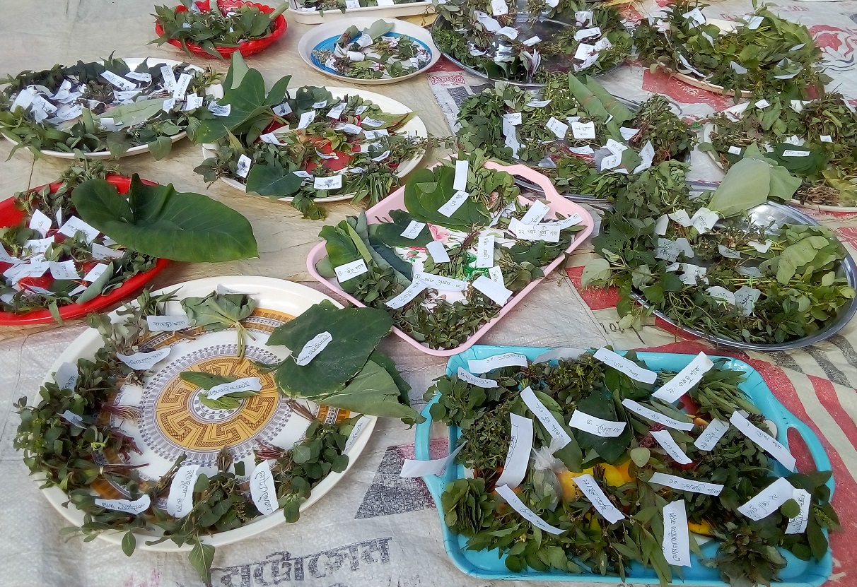 পুষ্টির চাহিদা পূরণে অচাষকৃত শাকসবজি