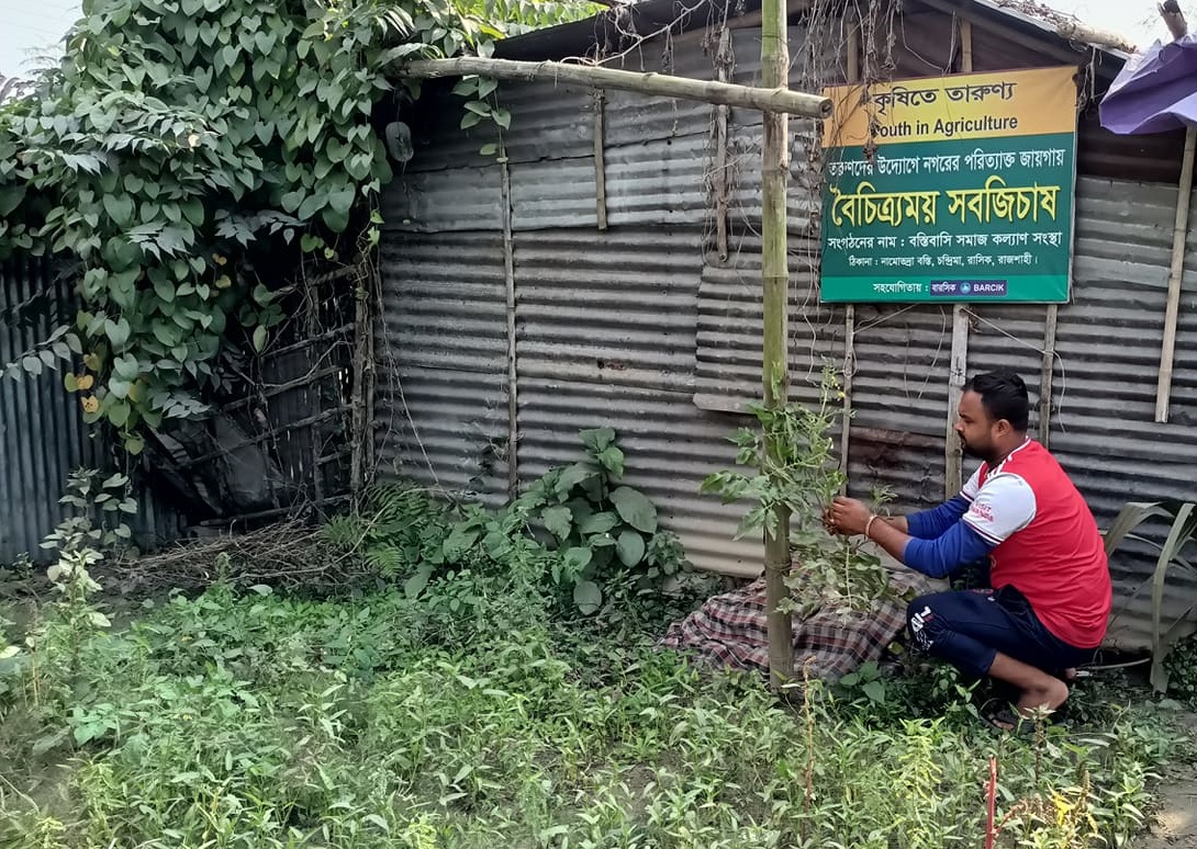 নগরের তরুণদের উদ্যোগে সবজি চাষ
