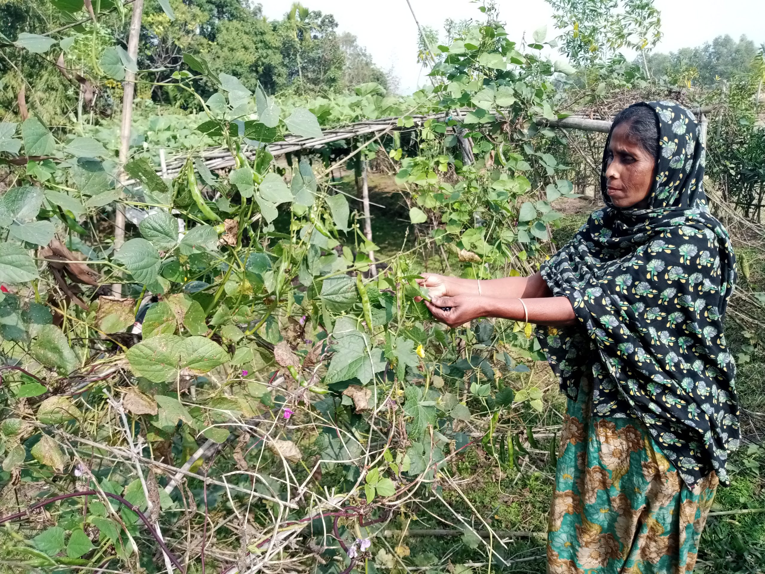 সাগরিকা বেগমের প্রতি ইঞ্চি মাটির ব্যবহার
