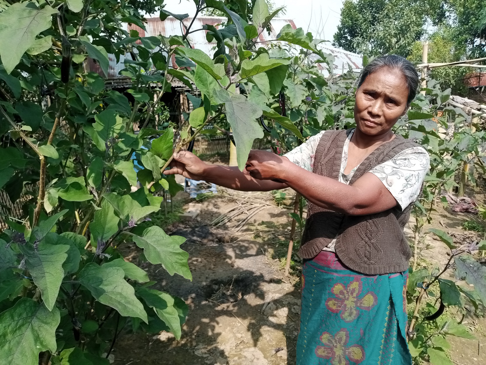 মনোরমা আজিমের কৃষিবাড়ি