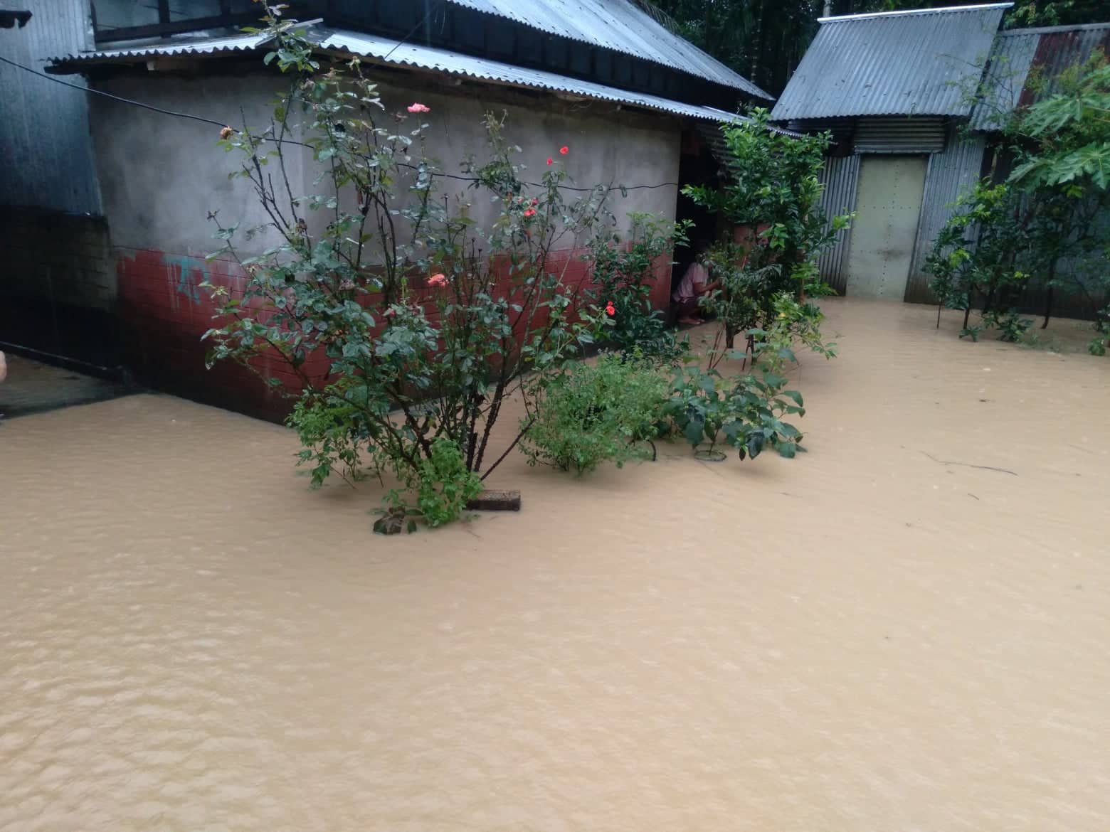 নিজস্ব সম্পদেই  কৃষক আবার ঘুরে দাঁড়াবে