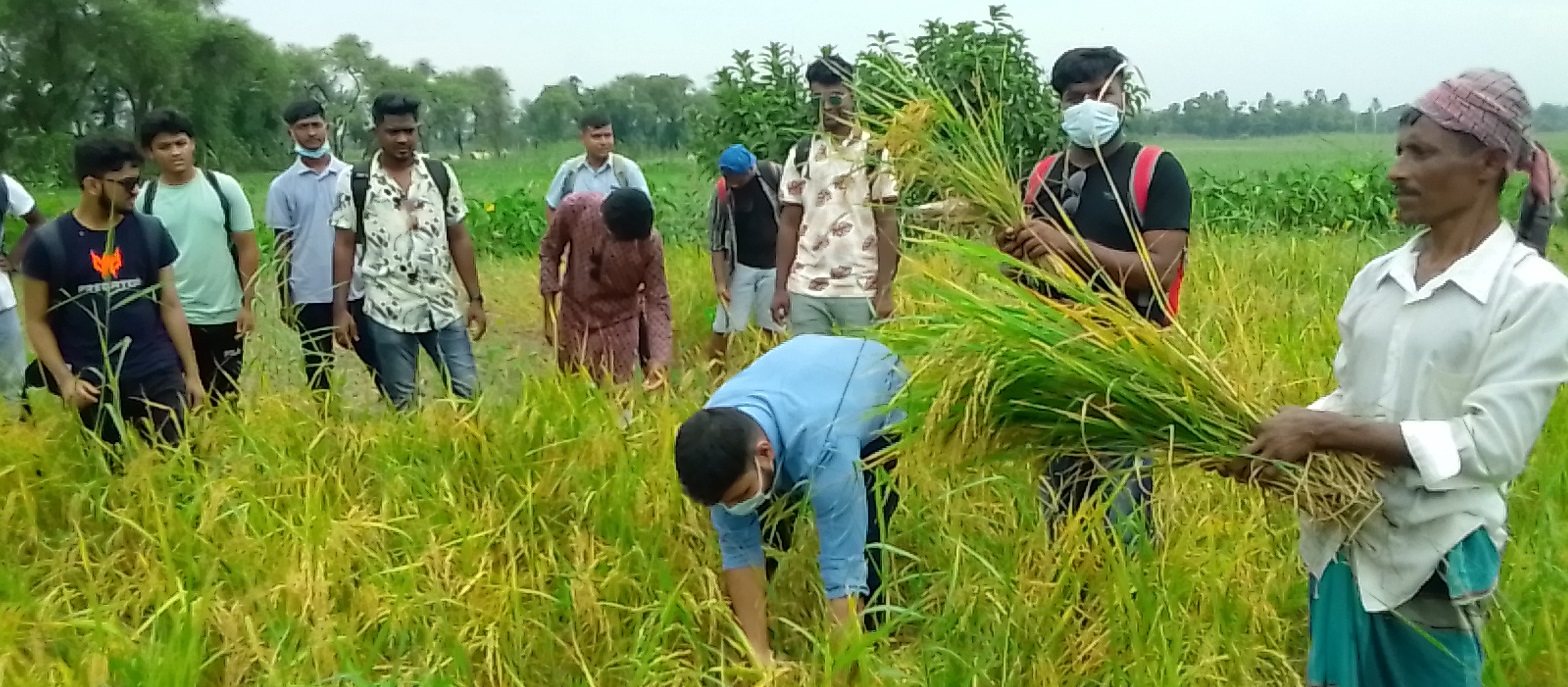 কোভিড পরিস্থিতি মোকাবেলায় কৃষি কাজে যুবকদের সম্পৃক্ততা