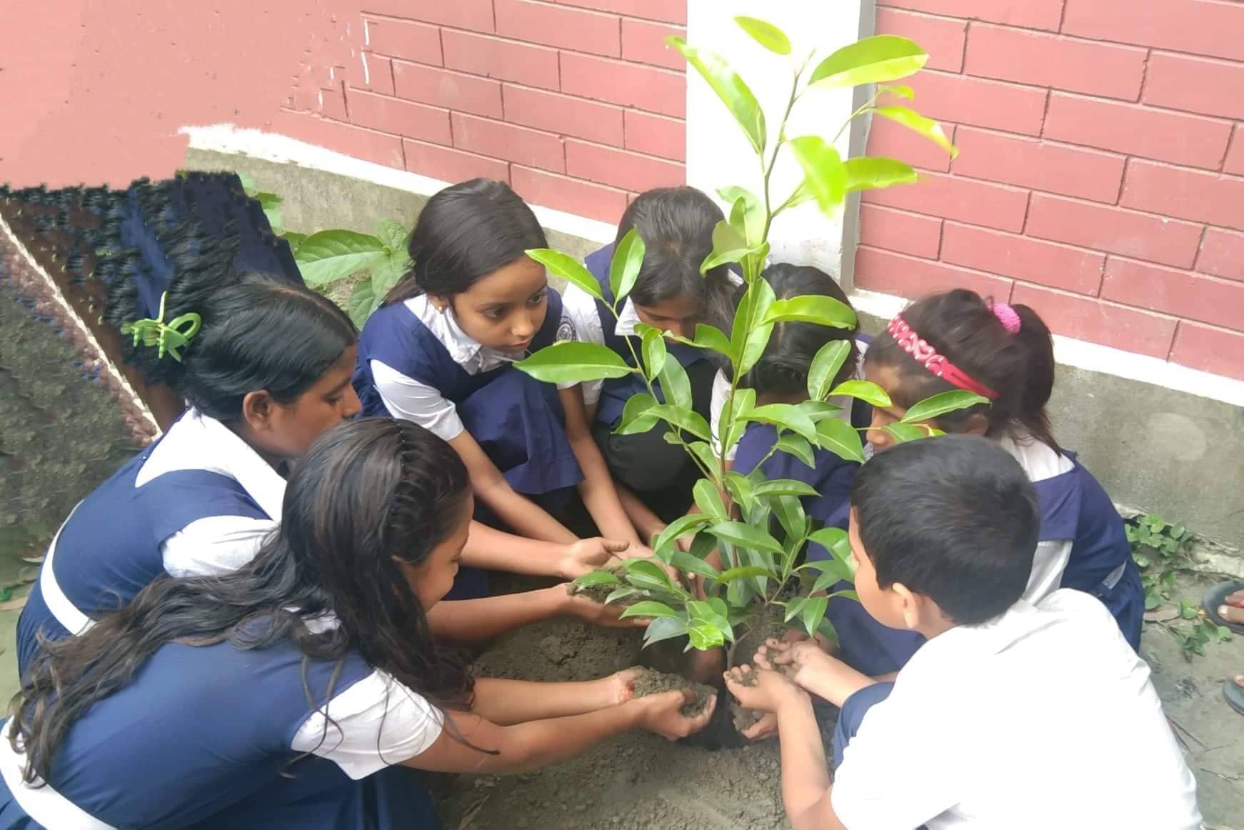 মানিকগঞ্জে শিশুদের গ্রীন ক্যাম্পাসের ভাবনা