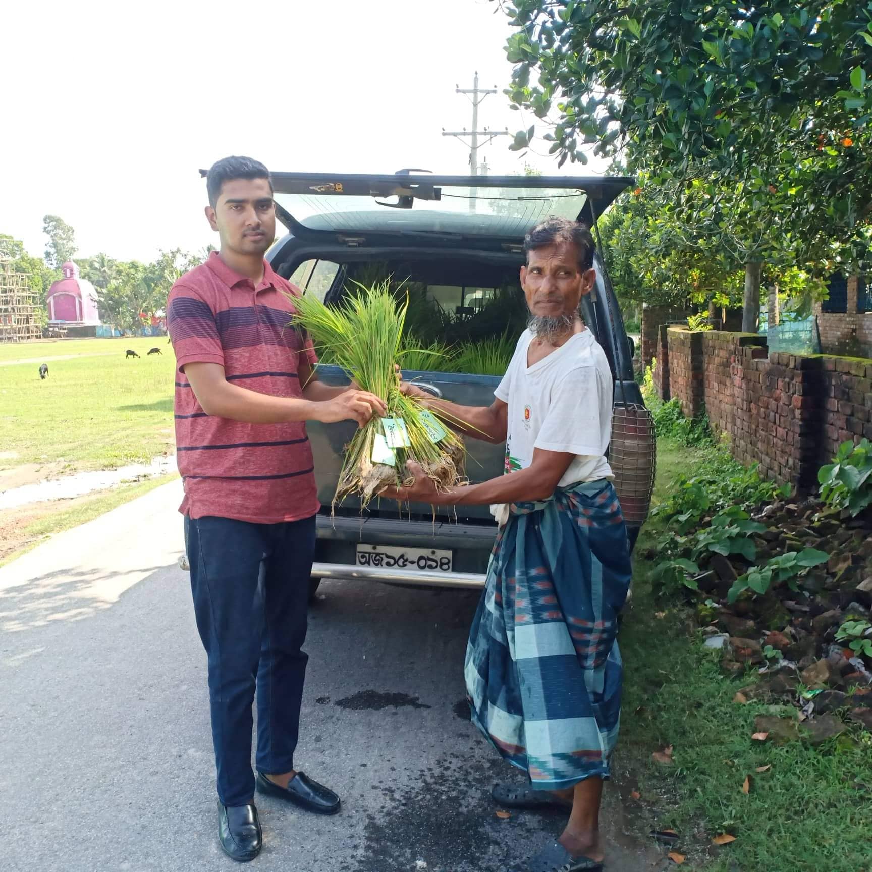 ব্রি ও বিনাকে স্থানীয় ধানের চারা সহায়তা করলো সেবা কৃষক সংগঠন