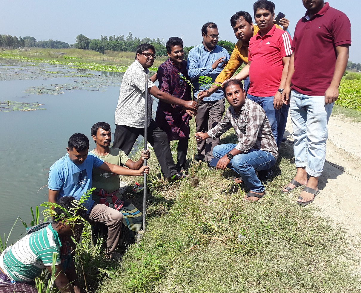জলবায়ু পরিবর্তন ও বজ্রপাতরোধে কৃষ্ণচুড়া ও তালবীজ রোপণ