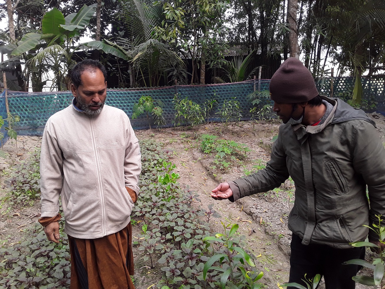 স্থায়িত্বশীল কৃষিচর্চা করে বেশ ভালো আছেন কৃষক এমদাদুল