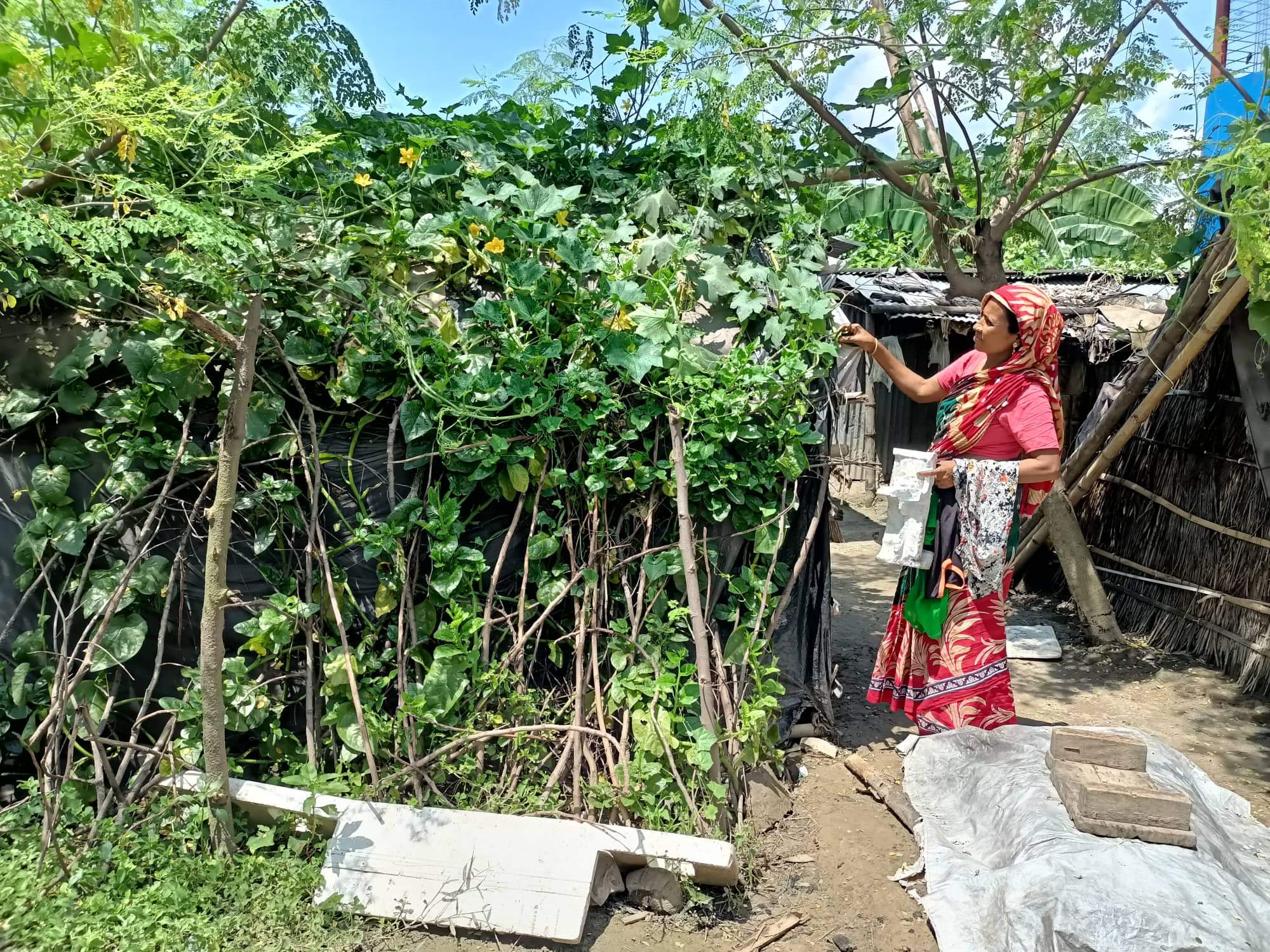 ভূমিহীন মানুষের সবজি চাষ খাদ্য নিরাপত্তায় অসামান্য অবদান রাখছে