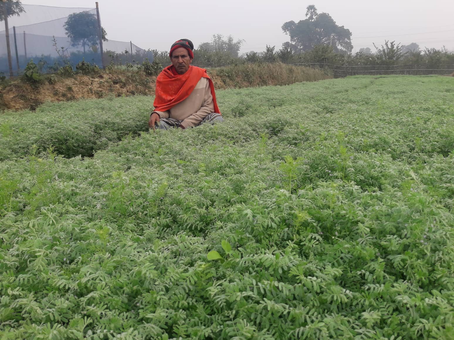 কৃষক হরেন সরকারের লোকায়ত কৃষিচর্চা
