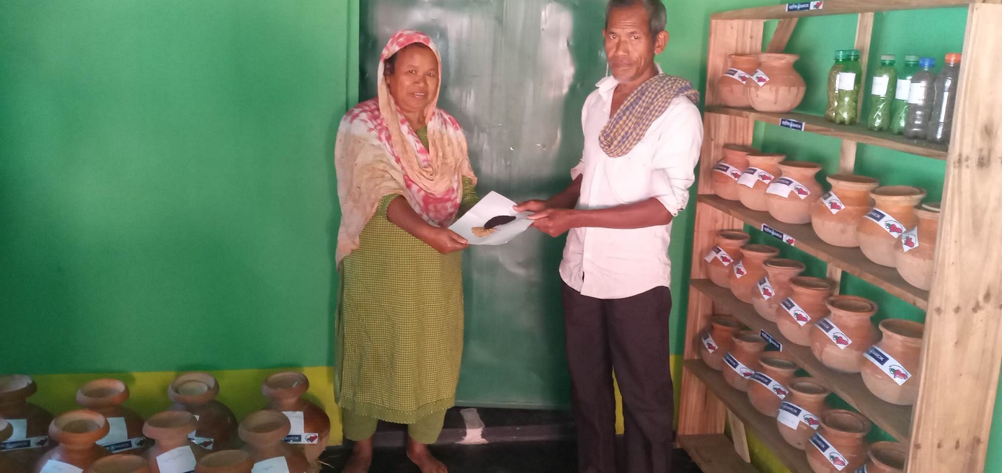 বীজ সংকট মোকবেলায় ভূমিকা রাখছে তারানগর কমিউনিটি বীজ ব্যাংক