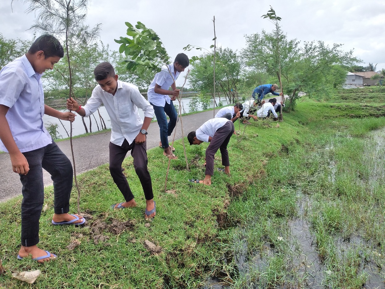 জলবায়ু পরিবর্তনের প্রভাব মোকাবেলায় স্টুডেন্টস ফোরামের বৃক্ষ রোপণ
