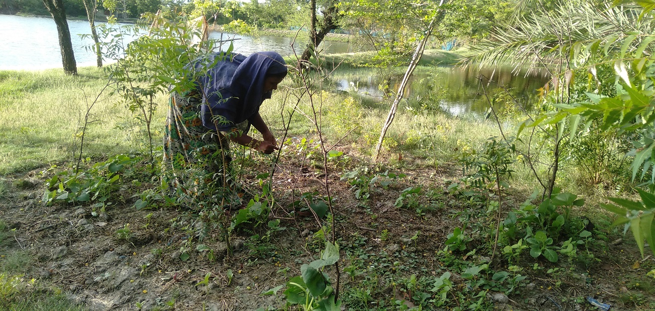 বর্ষার সাথে আমাদের স্বপ্ন জড়িত