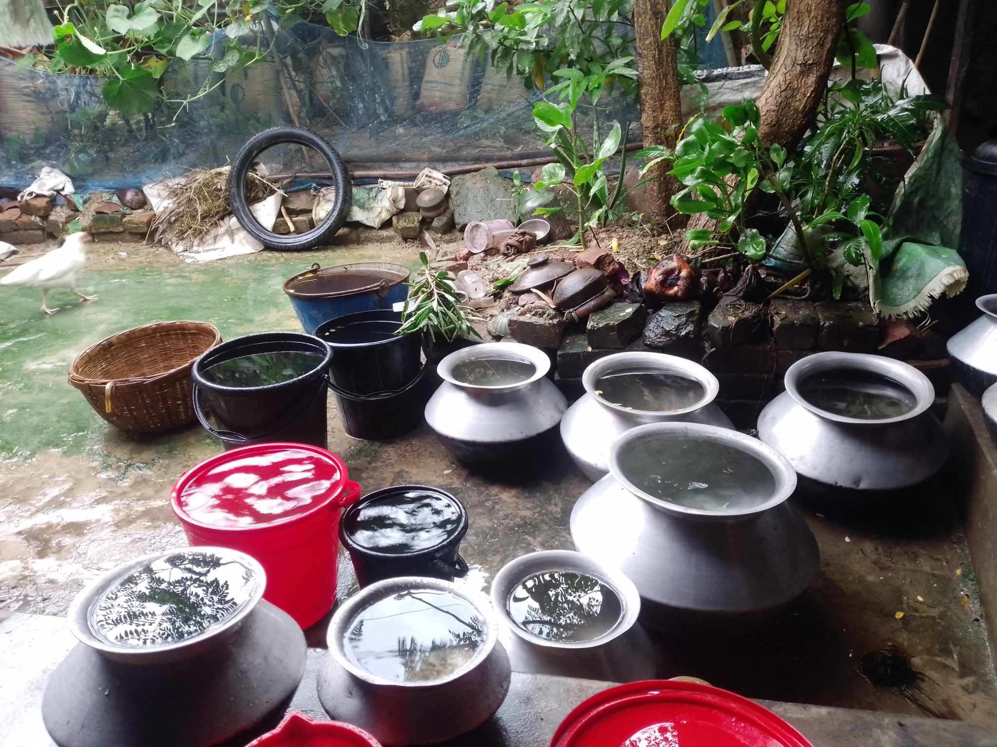 বৃষ্টির পানি সংরক্ষণের জন্য যদি সরকারি ও বেসরকারি সহযোগিতা পেতাম!