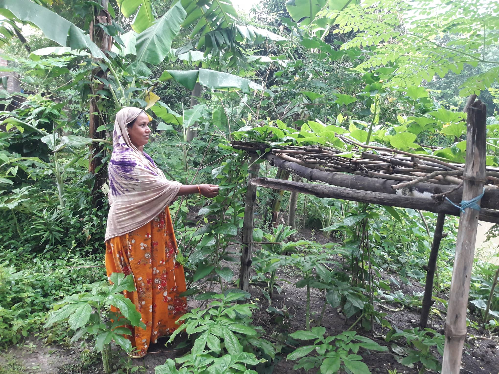 ‘আমার আর বীজ কেনা লাগেনা’