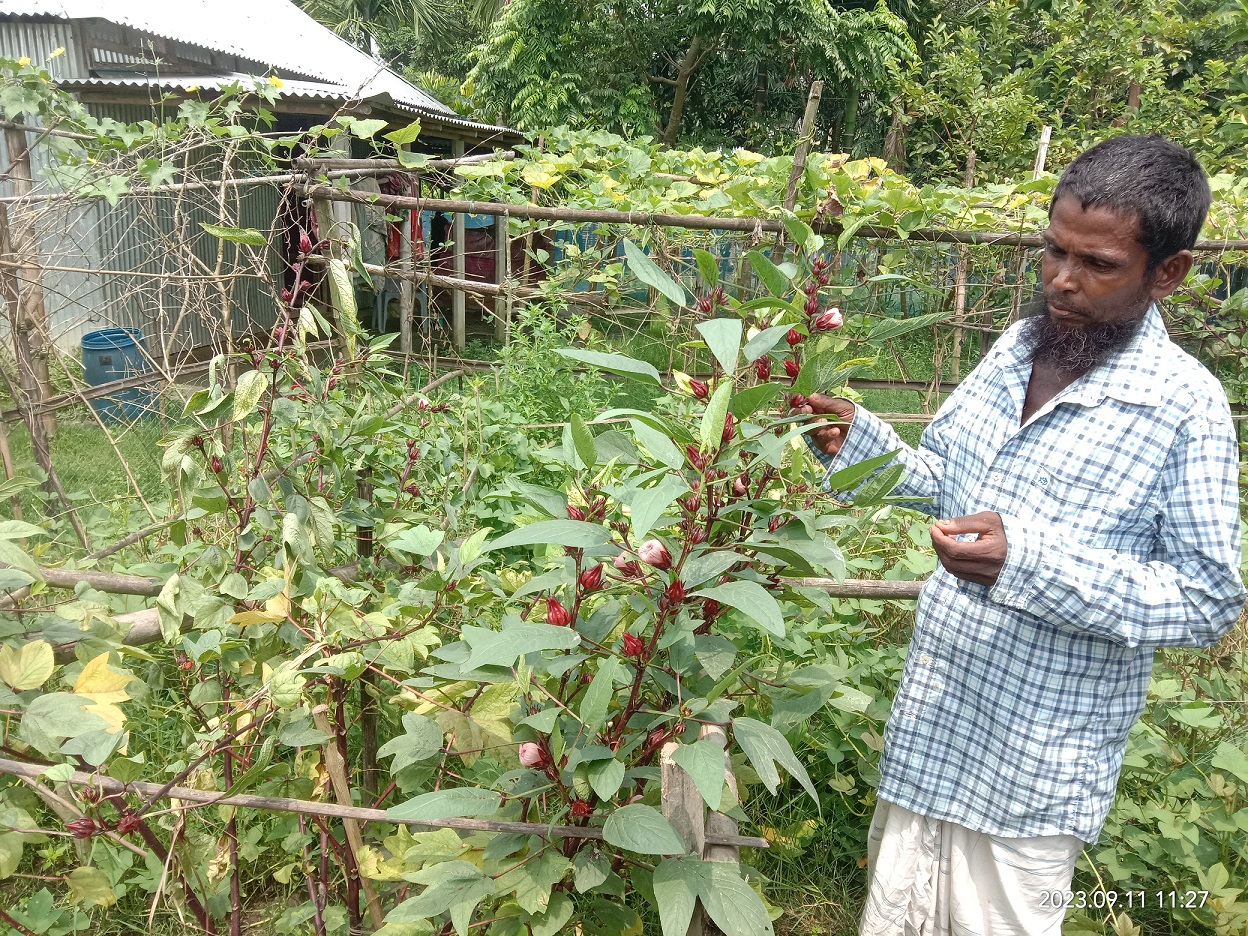 একজন আদর্শ কৃষক লতিফ মিয়া